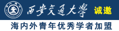 插逼逼视频啊啊啊啊诚邀海内外青年优秀学者加盟西安交通大学