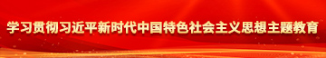 cao烂你的bi视频学习贯彻习近平新时代中国特色社会主义思想主题教育